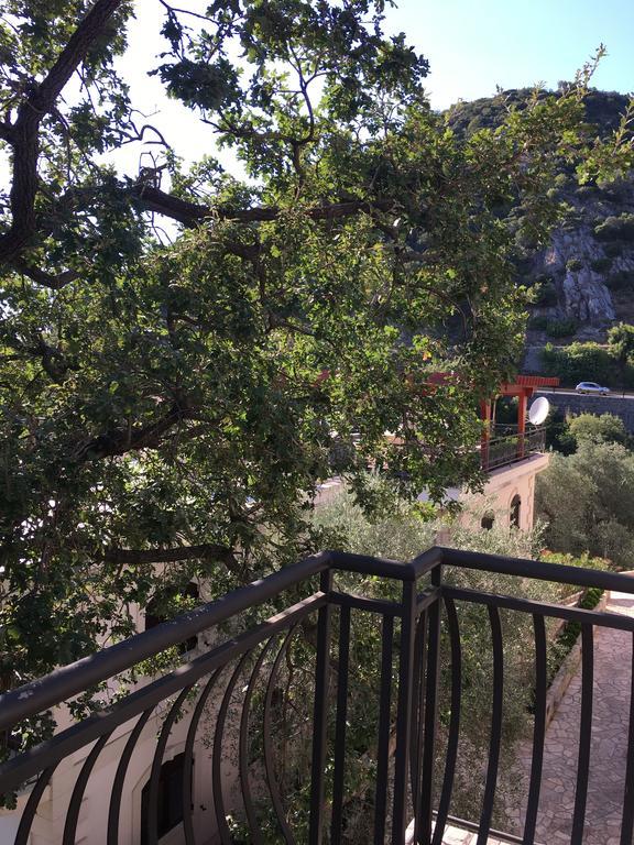 Villa Julia Petrovac ภายนอก รูปภาพ