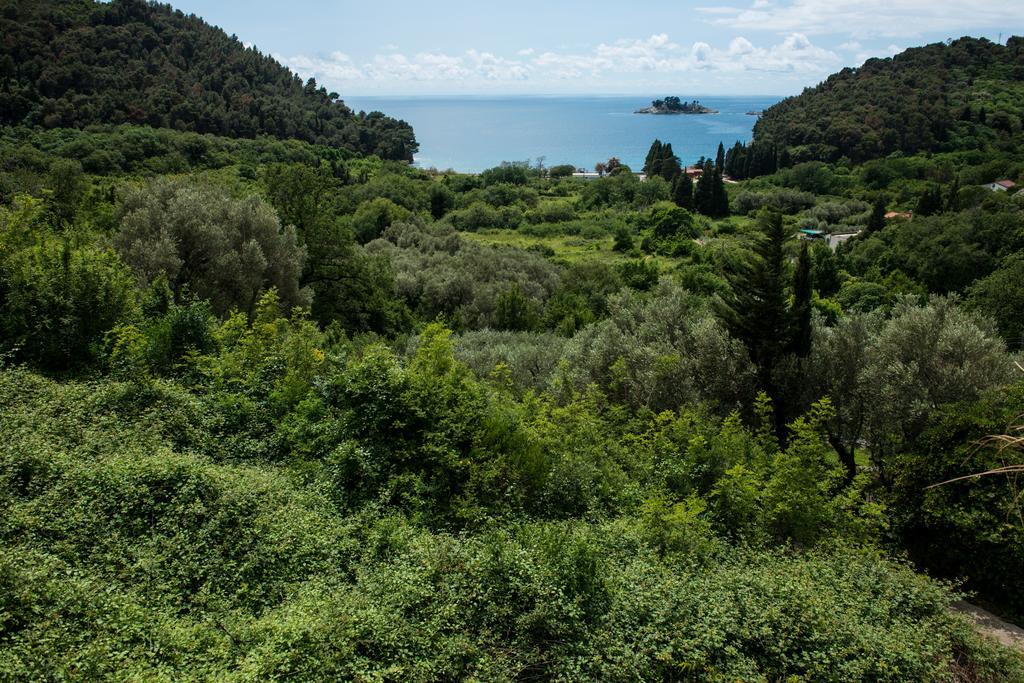 Villa Julia Petrovac ภายนอก รูปภาพ